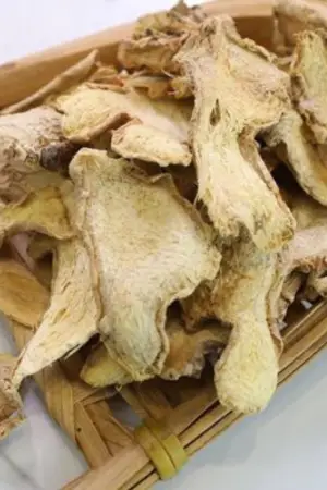 Gừng kô