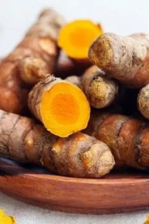 Nghệ vàng tươi