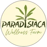 Paradisiaca farm chuoi vietnam