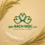 Gạo Hữu cơ Thuần tự nhiên