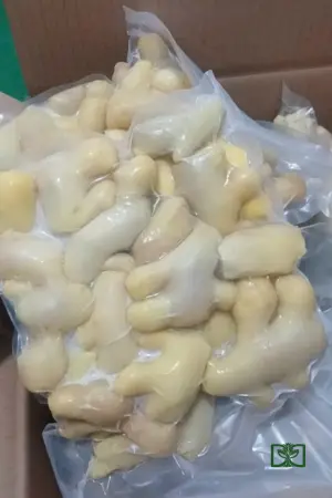 Gừng đông lạnh