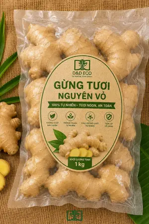 Gừng tươi viet nam
